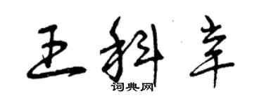 曾庆福王科辛草书个性签名怎么写