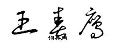 曾庆福王春鹰草书个性签名怎么写