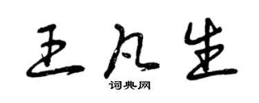 曾庆福王凡生草书个性签名怎么写
