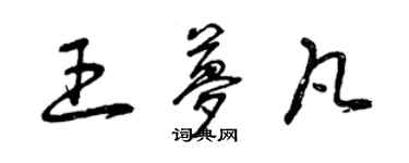 曾庆福王梦凡草书个性签名怎么写