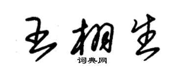 朱锡荣王栩生草书个性签名怎么写