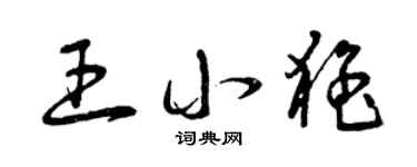 曾庆福王小猛草书个性签名怎么写