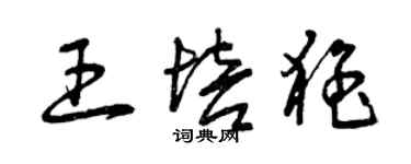 曾庆福王培猛草书个性签名怎么写