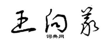 曾庆福王向义草书个性签名怎么写