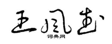 曾庆福王风武草书个性签名怎么写
