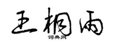 曾庆福王桐雨草书个性签名怎么写
