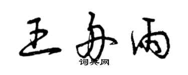 曾庆福王舟雨草书个性签名怎么写