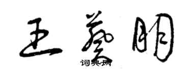 曾庆福王葵朋草书个性签名怎么写