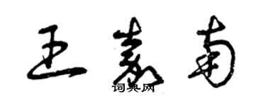 曾庆福王嘉南草书个性签名怎么写