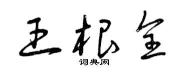 曾庆福王根全草书个性签名怎么写