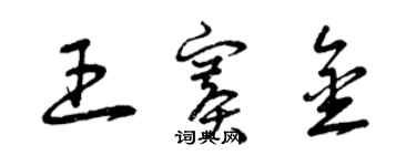 曾庆福王赛金草书个性签名怎么写