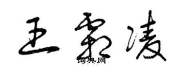 曾庆福王霜凌草书个性签名怎么写