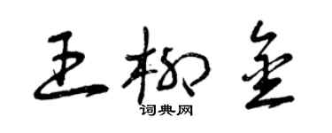 曾庆福王柳金草书个性签名怎么写