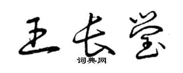 曾庆福王长莹草书个性签名怎么写