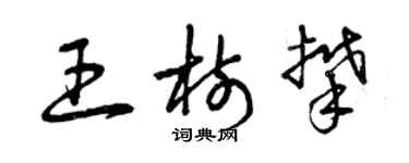 曾庆福王树攀草书个性签名怎么写