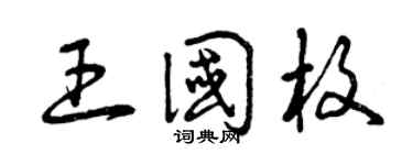 曾庆福王国枚草书个性签名怎么写