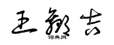 曾庆福王赢吉草书个性签名怎么写