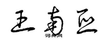 曾庆福王南亚草书个性签名怎么写