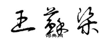 曾庆福王苏梁草书个性签名怎么写