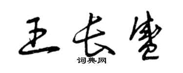 曾庆福王长盛草书个性签名怎么写