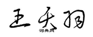 曾庆福王夭羽草书个性签名怎么写