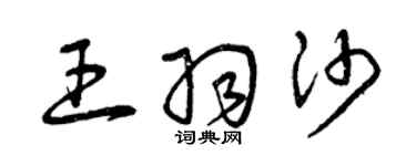 曾庆福王羽沙草书个性签名怎么写