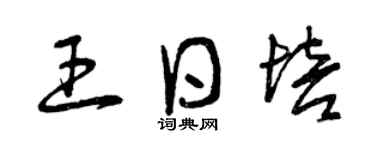 曾庆福王日培草书个性签名怎么写
