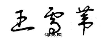 曾庆福王雪苇草书个性签名怎么写