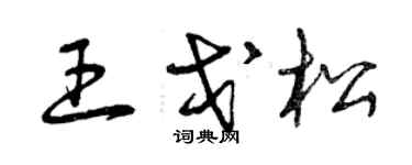曾庆福王戈松草书个性签名怎么写
