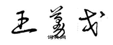 曾庆福王蔓戈草书个性签名怎么写