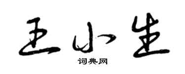 曾庆福王小生草书个性签名怎么写