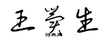 曾庆福王冀生草书个性签名怎么写