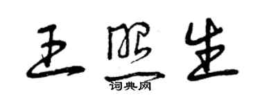 曾庆福王照生草书个性签名怎么写