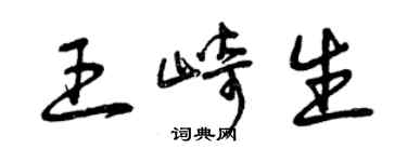 曾庆福王崎生草书个性签名怎么写
