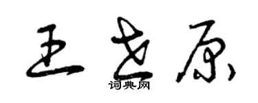 曾庆福王世原草书个性签名怎么写