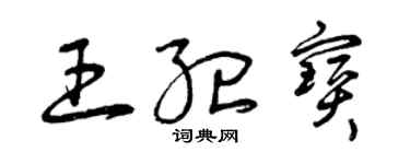 曾庆福王纪宝草书个性签名怎么写