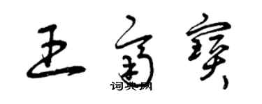 曾庆福王齐宝草书个性签名怎么写