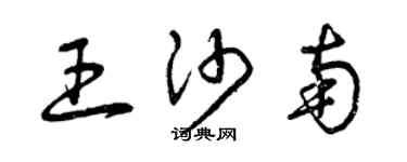 曾庆福王沙南草书个性签名怎么写