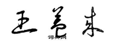 曾庆福王益来草书个性签名怎么写