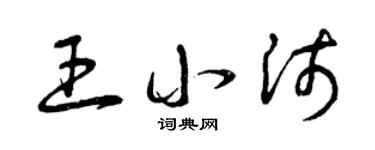 曾庆福王小沛草书个性签名怎么写