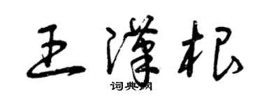 曾庆福王汉根草书个性签名怎么写