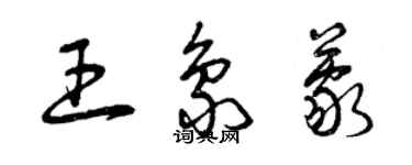 曾庆福王象蒙草书个性签名怎么写