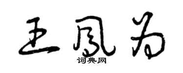 曾庆福王凤为草书个性签名怎么写