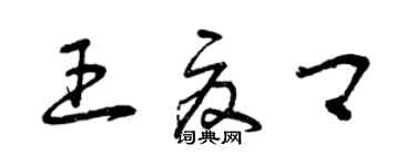 曾庆福王夏卿草书个性签名怎么写