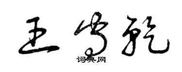 曾庆福王守乾草书个性签名怎么写