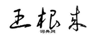 曾庆福王根来草书个性签名怎么写