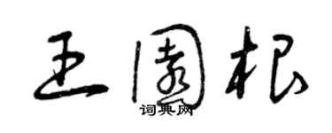 曾庆福王园根草书个性签名怎么写