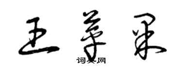 曾庆福王苹果草书个性签名怎么写