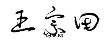 曾庆福王宗田草书个性签名怎么写