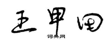 曾庆福王甲田草书个性签名怎么写